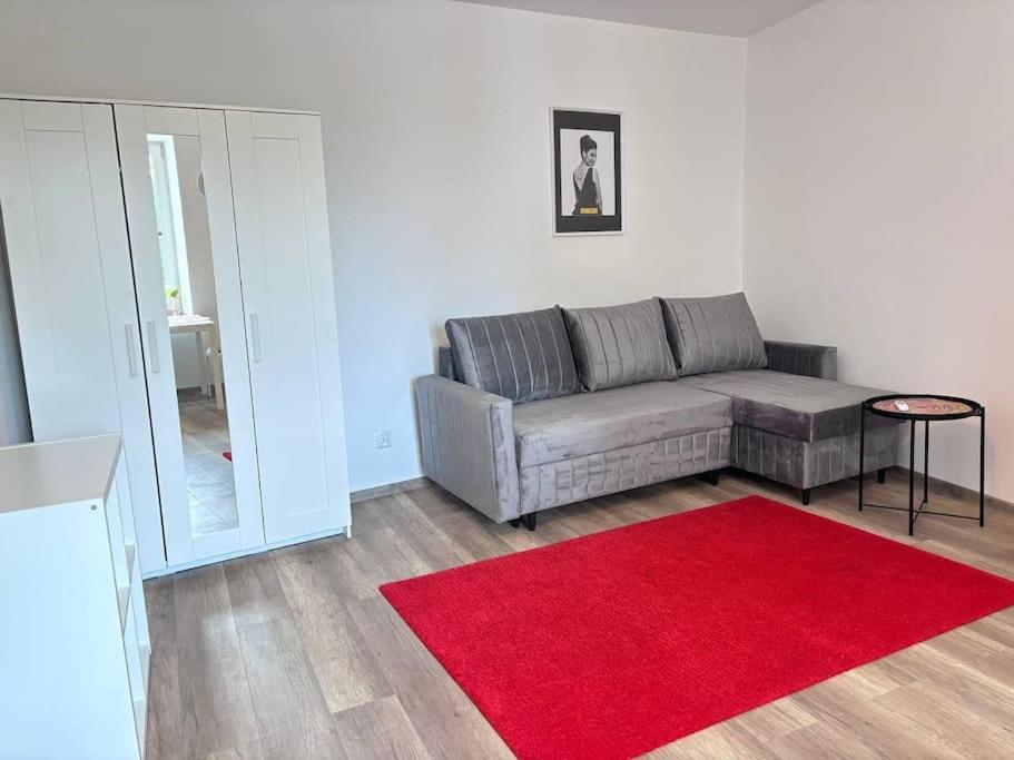 Narozna Kawalerka 49 Apartament *